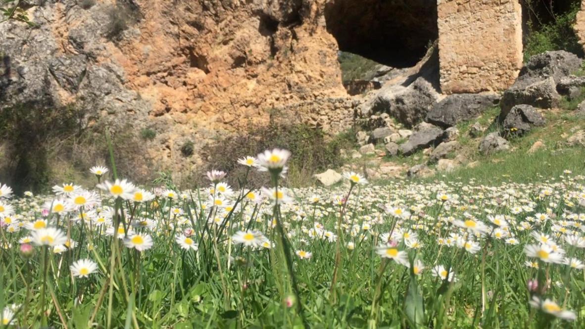 فيلا La Escapada Cuenca Pajaroncillo المظهر الخارجي الصورة